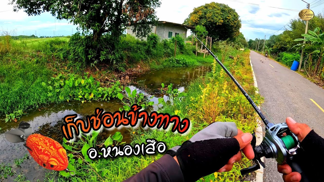 #ตกปลาช่อนคลองข้างทาง อ.หนองเสือ #กบยางศรพิษ