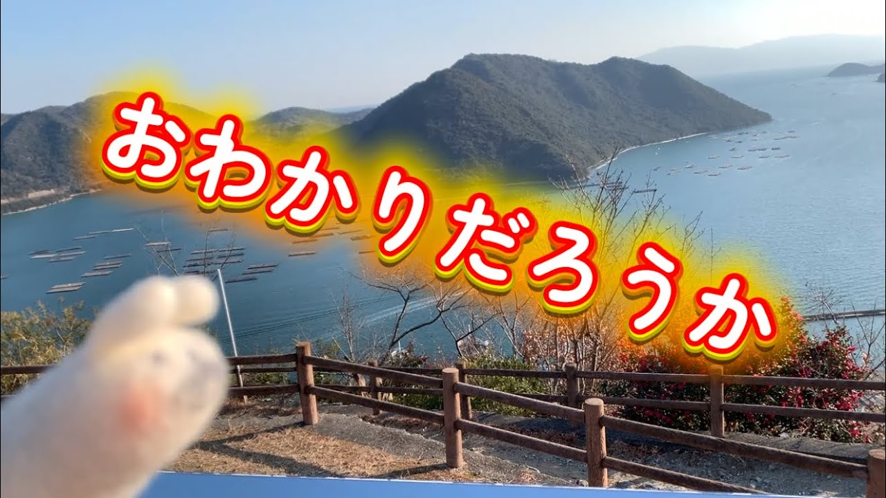 展望台に現れた謎のうさぎ？！新年初スピタコいただいて来ましたー！