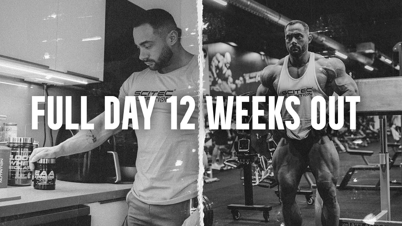 Full Day 12 weeks out