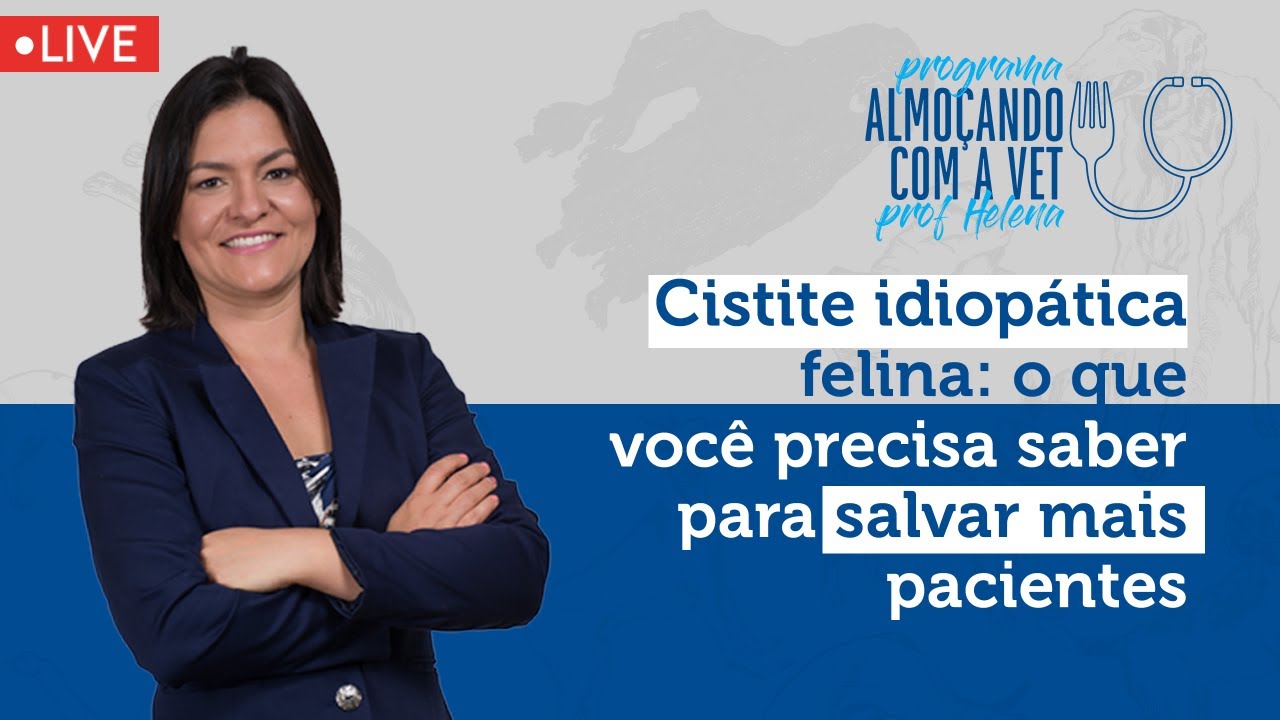Cistite idiopática felina: o que você precisa saber para salvar mais pacientes