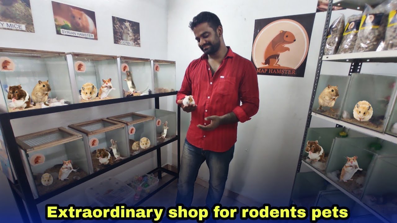 Pet shop tour | chennai | தமிழ் | map Hamster