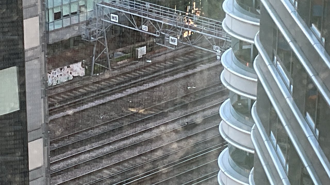 All my summer of 2025 adventures!!