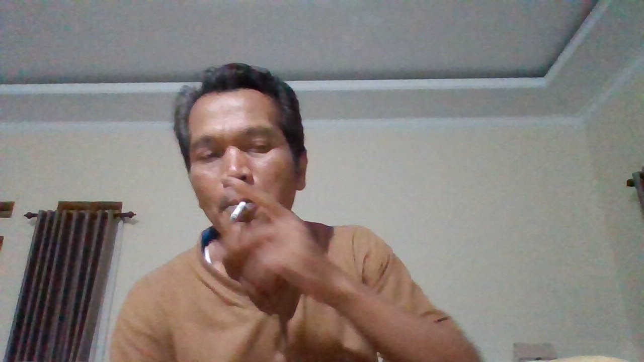 BUDIDAYA PADI POLA KP2M