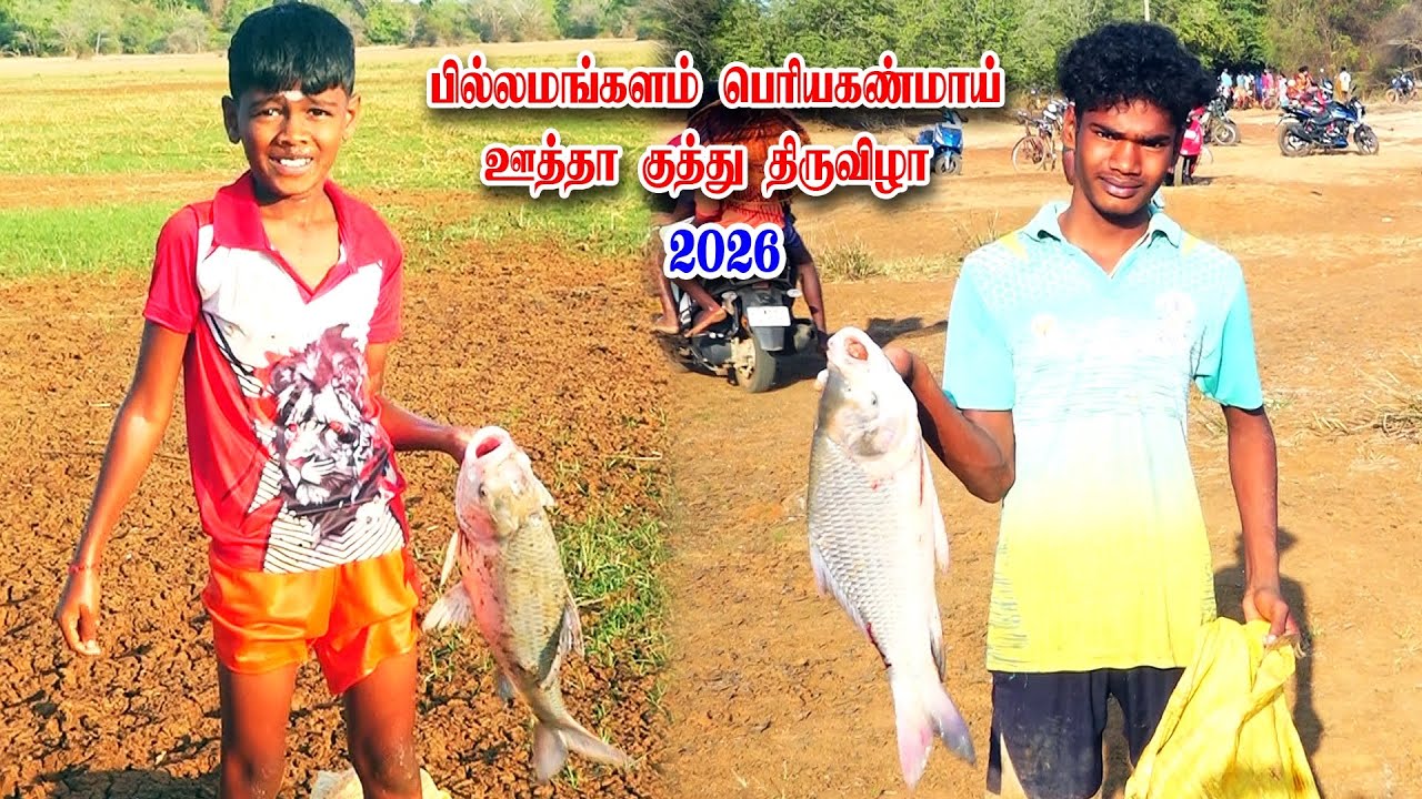 பில்லமங்கலம் பெரிய கண்மாய் ஊத்தாத் திருவிழா 16.03.2026