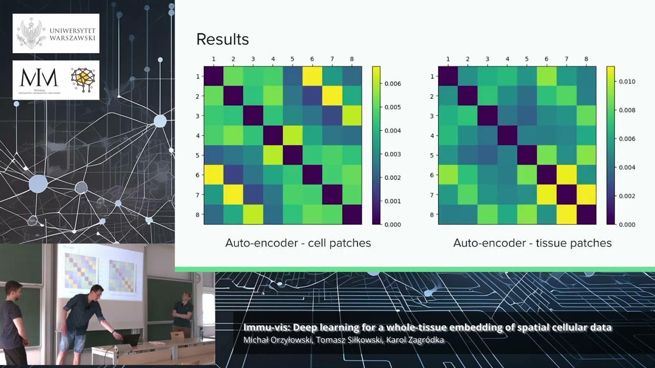 Immu-vis: Deep learning for a whole-tissue embedding of spatial cellular data