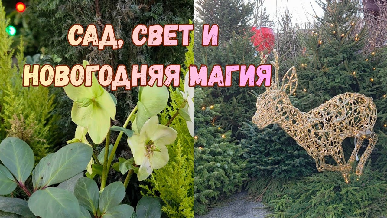 Сказочный зимний парк в Гётеборге 