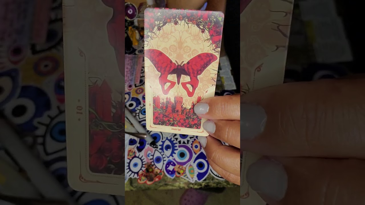 This chariot wants to create influence us, our, a dynamic harmony. Victory, the Empress, justice ⚖️