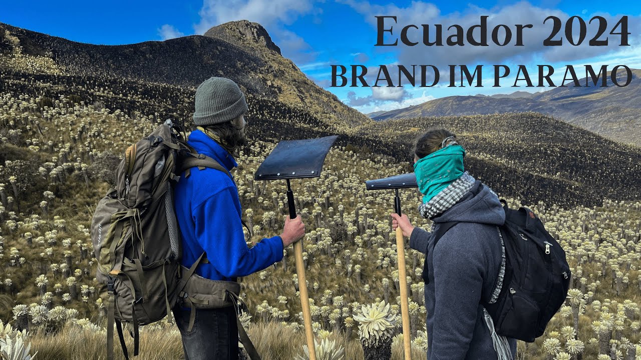 Teil 2: Brand im Paramo - Ecuador 2024
