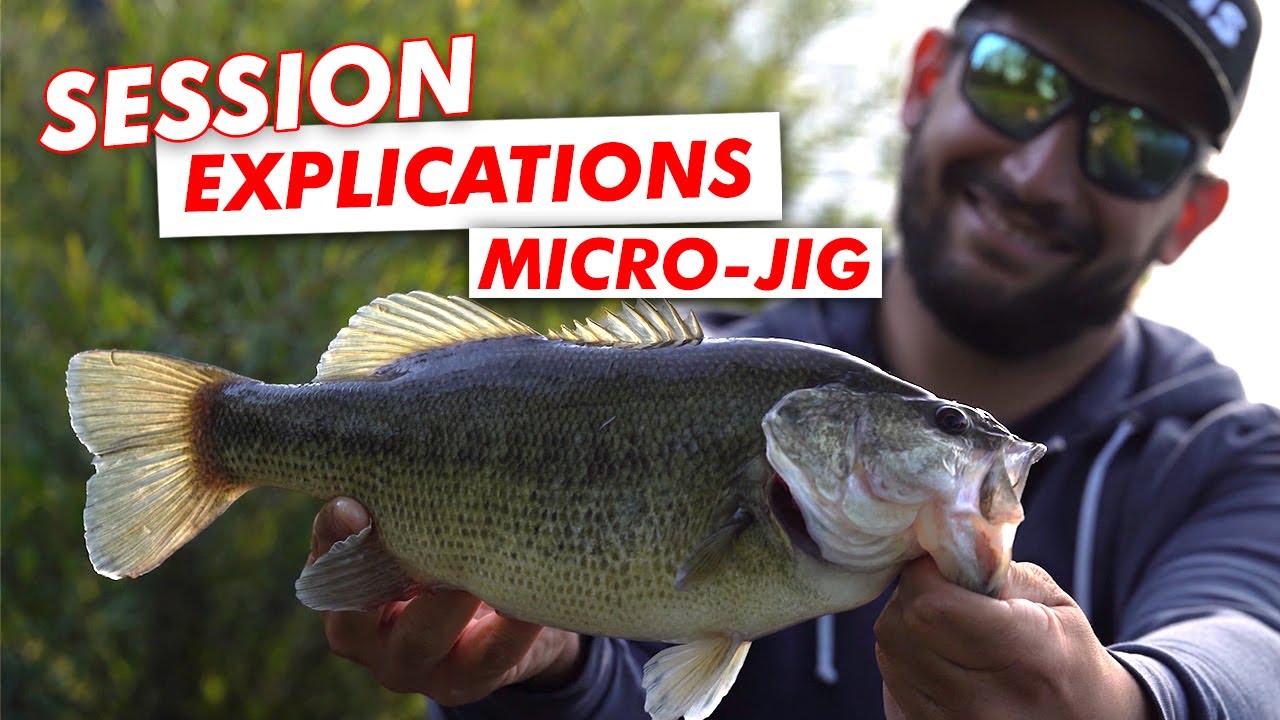 Un leurre INCONTOURNABLE pour le BLACK BASS et la PERCHE !