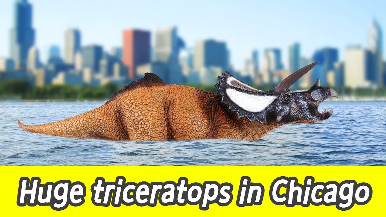 [EN] #77 Huge triceratops in Chicago, kids education, Collecta figureㅣCoCosToy