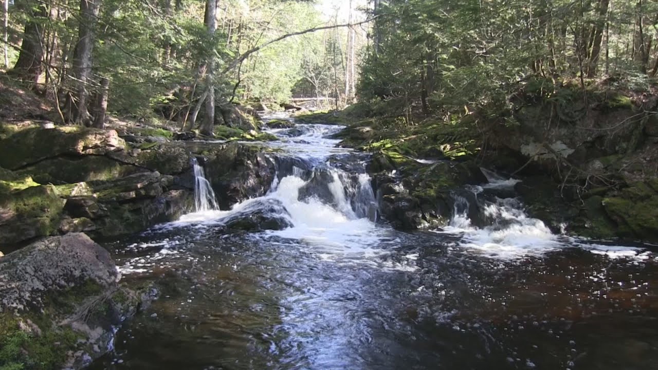 Fishing the Big Carp River in Michigan's Porcupine Mountains State Park