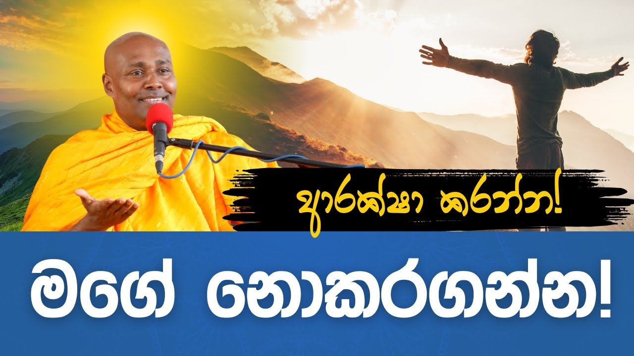 2024 09 17 - බිනර පෝ දා සදහම් ප්‍රවර්ථනය
