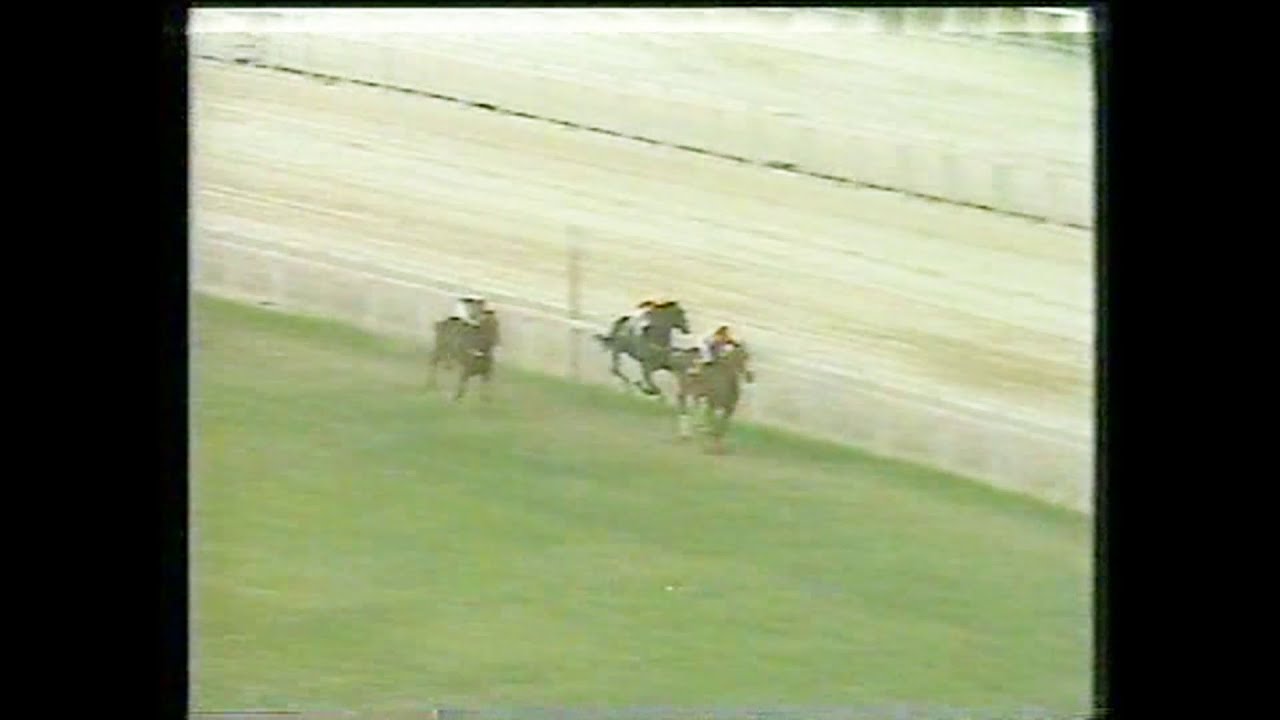 RAMIRITO - GRANDE PR&Ecirc;MIO COSTA FERRAZ, G3, G&aacute;vea, 26/05/1990, 1500, GL