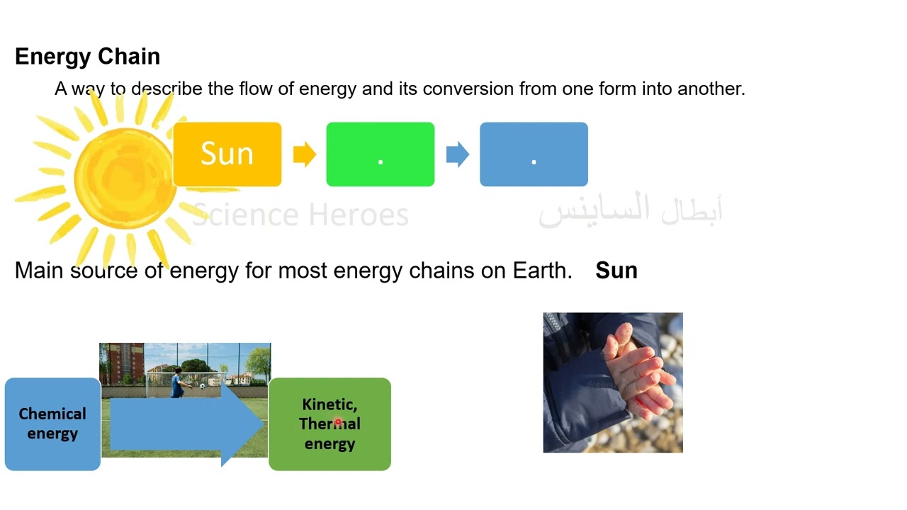 Science Grade 4 - تلخيص Revision Concept 3.1 - شرح ساينس رابعة ابتدائي الترم الثاني