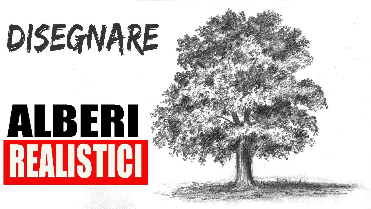 Come Disegnare Alberi Realistici