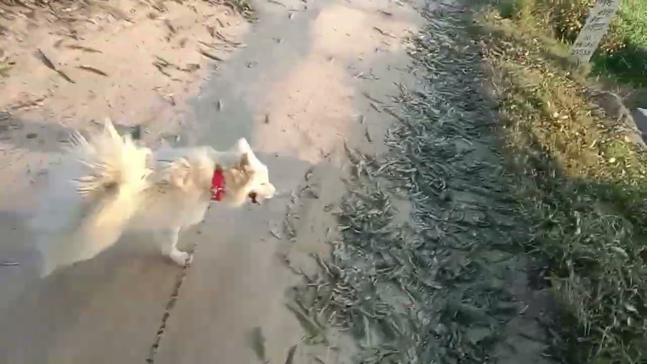 1ts video Part 1 😍😍😍