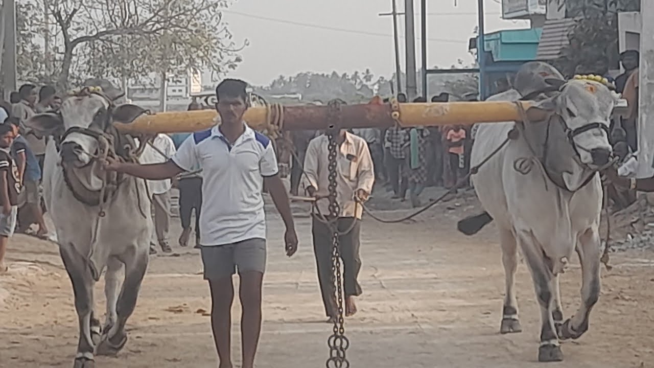 💥🌾నందలూరు నీలిపల్లి గ్రామం ఓల్డ్ కేటగిరి విభాగానికి 7వ జతసానపురెడ్డి సతీష్ కుమార్  గారు 💥09-02-2026💥
