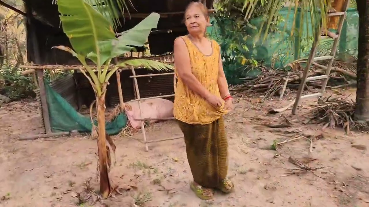  ម្ហូបតាមស្រុកភូមិរបស់ខ្ងុំAll the food in my village 😋 #cooking 