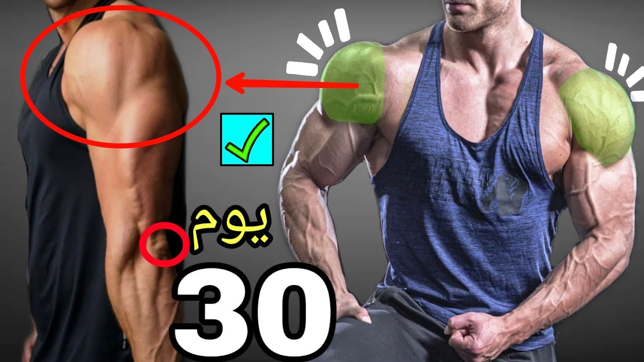 4 أسابيع فقط ! لتضخيم الكتف كامل - للمبتدئين ( شرح مفصل )