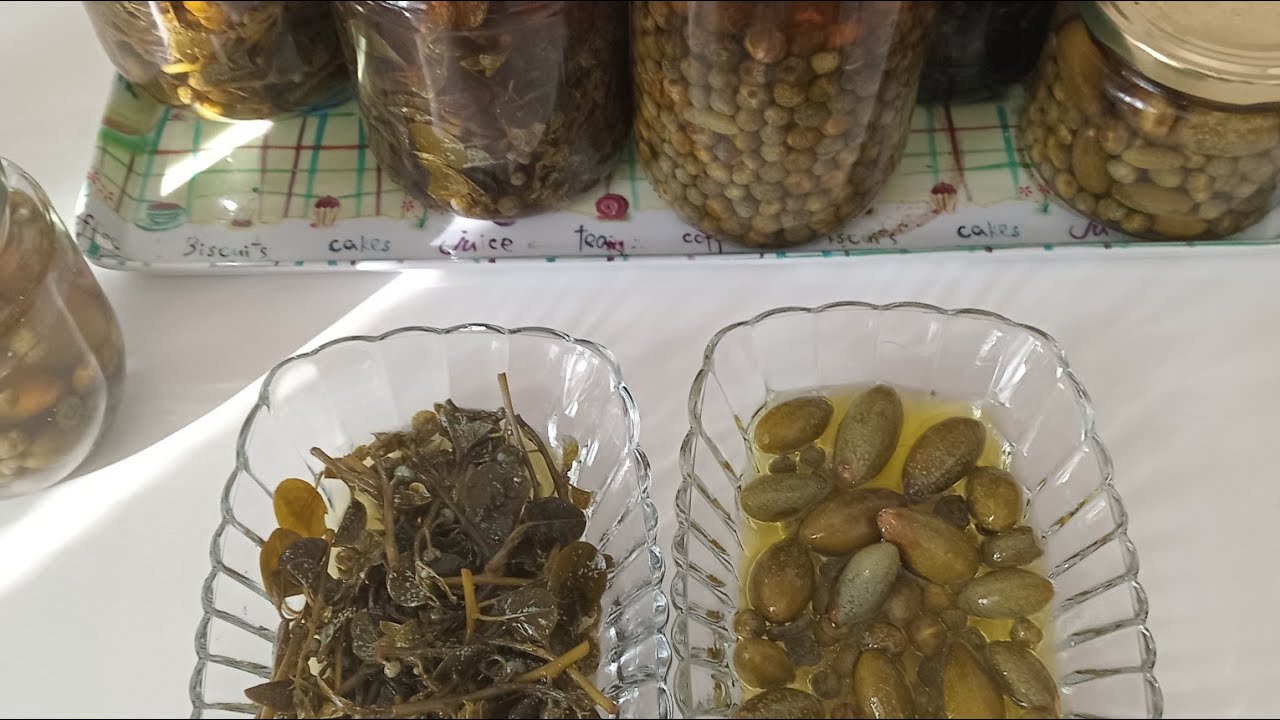 KAPARÌ GABAR CAPERS