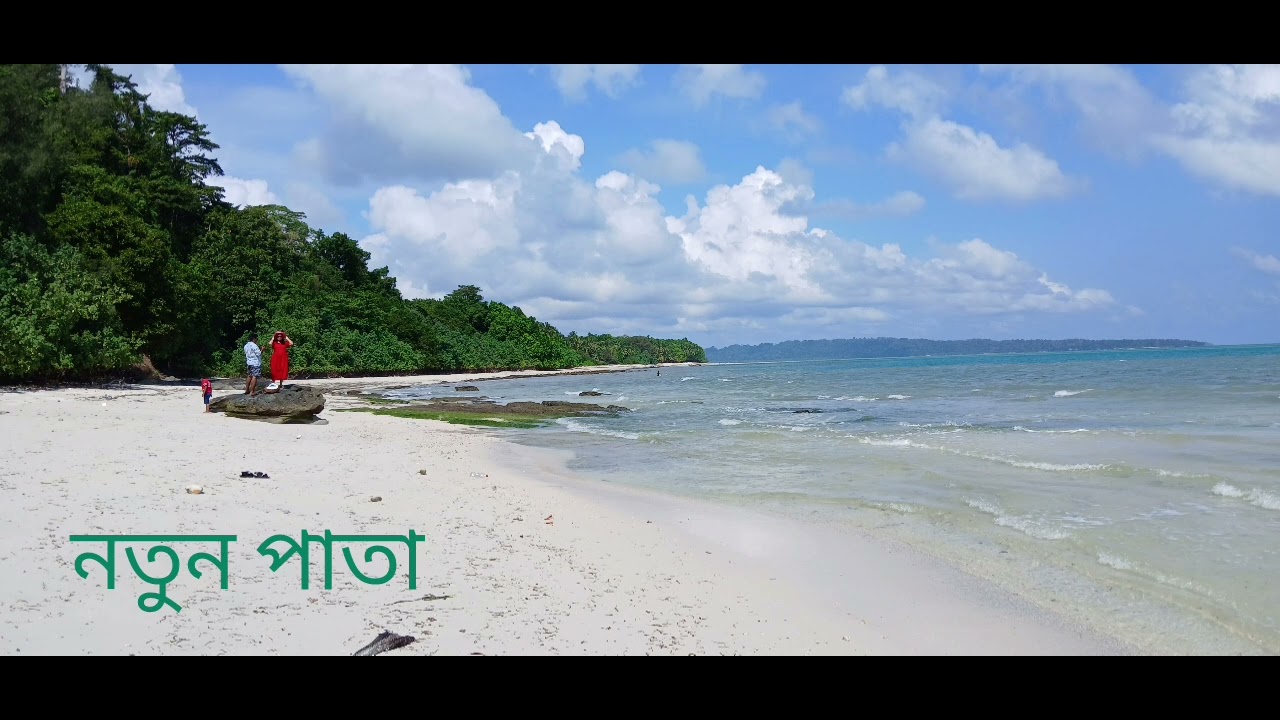নতুন পাতা