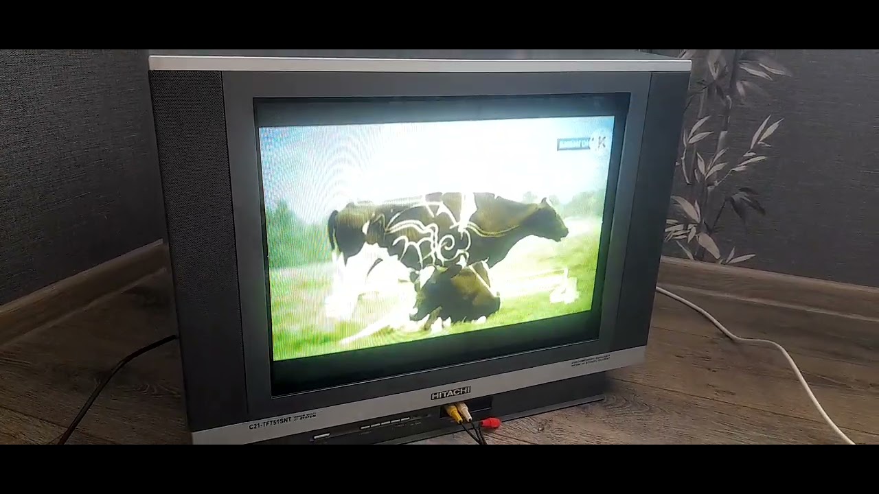 ВЗЛОМ КАНАЛА БИБИГОН 16.10.2010 (ПОКАЗ     ВИДЕОКАССЕТЫ) (ЧИТАЙТЕ ОПИСПНИЕ)