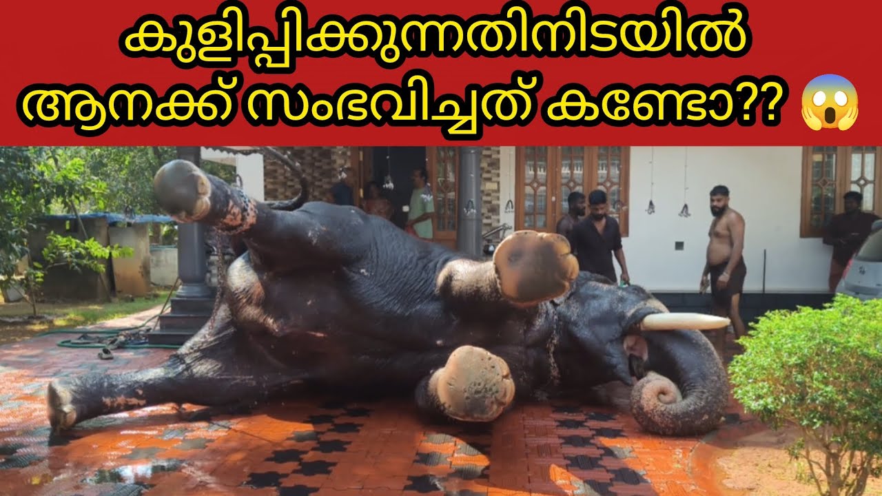 ഇത് കാണുമ്പോൾ പേടിച്ചു പോവാത്തവർ ഉണ്ടോ??? 😱😱