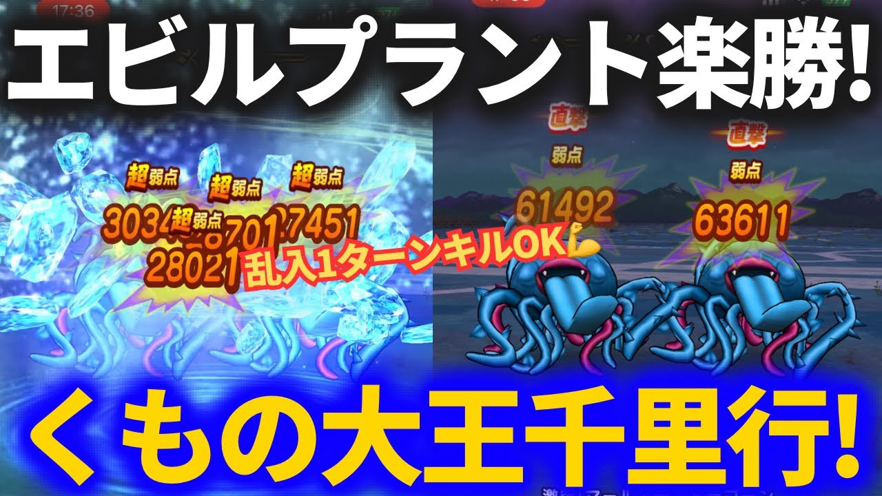 【ドラクエウォーク】2パン多めで超快適！くもの大王覚醒千里行！！【エビルプラントも1ターンフルオートでOK】