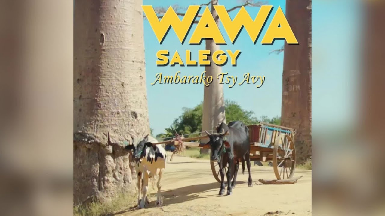 Wawa Salegy - Ambarako Tsy Avy - audio