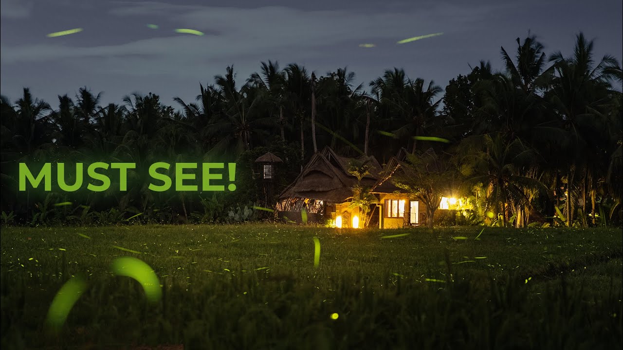 Photographing FIREFLIES in Ubud, Bali (Fujifilm X100V)