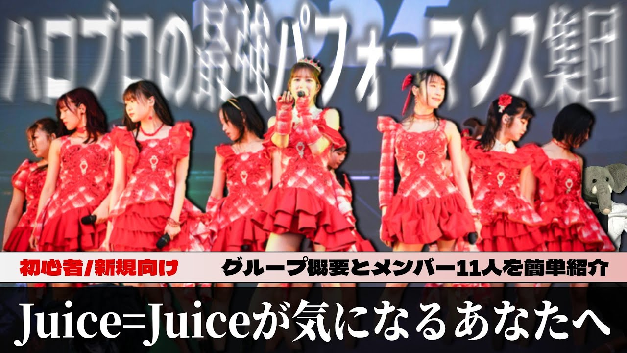 Juice=Juiceってどんなグループ?? ハロプロ初心者向けに簡単解説。メンバー11人の名前と個性を知るための動画。【新規用/布教用】