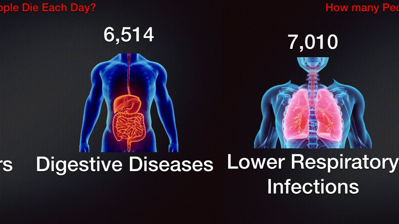 Death Comparison::How Many People Die Each Day.