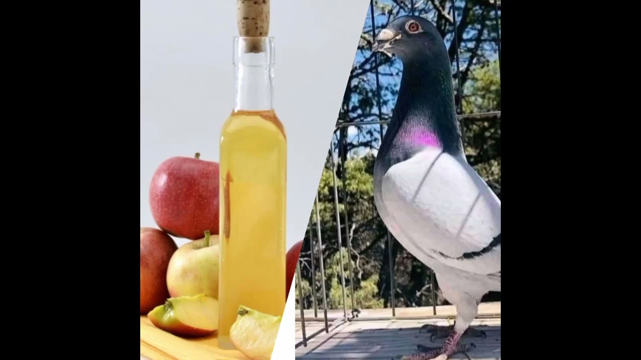 Mito contra Realidad química del vinagre de manzana