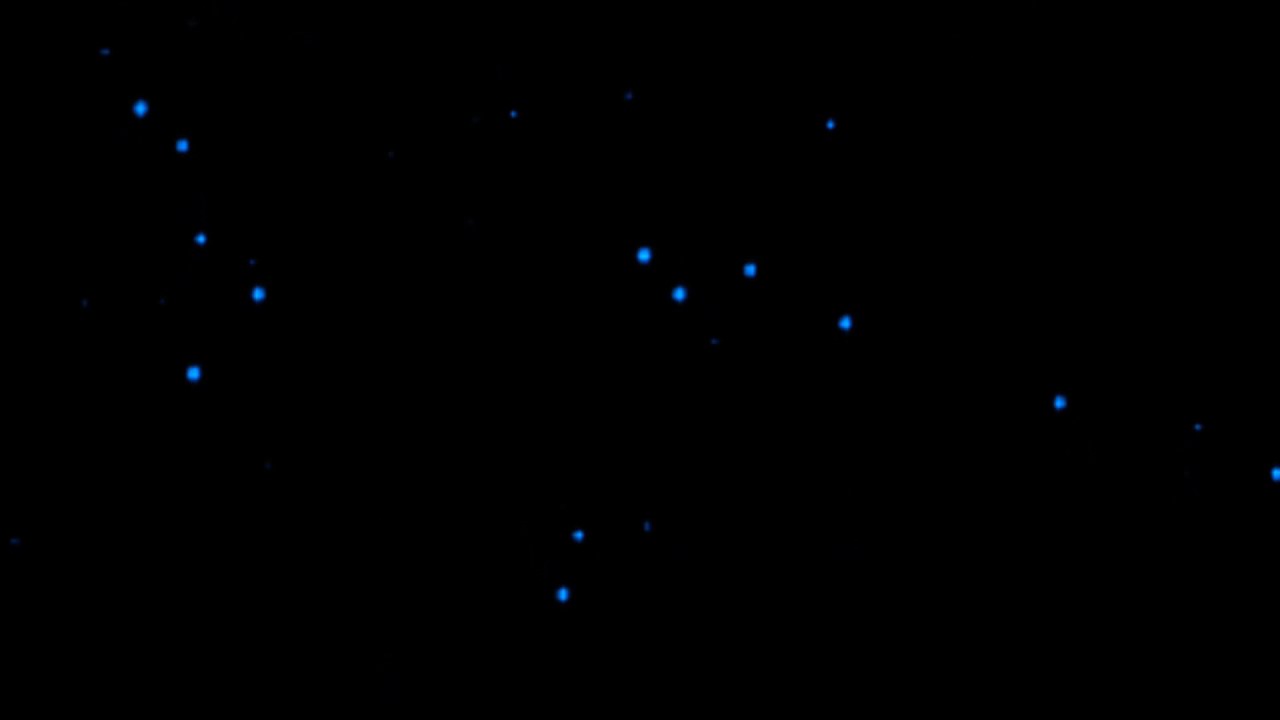 Daniel D'artiste - Wishing ft. Willow & Téo (Slowed)