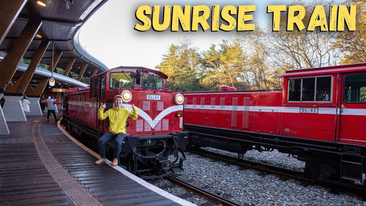 Alishan National Forest Sunrise Train - The Best Sunrise Place in Taiwan 🇹🇼
