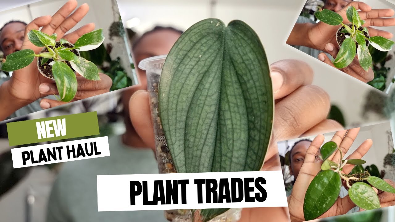Another Plant Swap...Again!