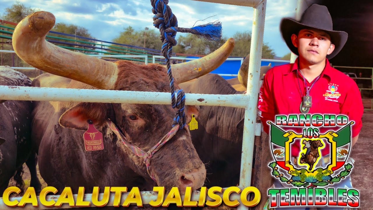 ESTA ES LA GANADERIA MÁS TEMIDA POR LOS JINETES.!! RANCHO LOS TEMIBLES DE DON PEDRO CASTAÑEDA.!!