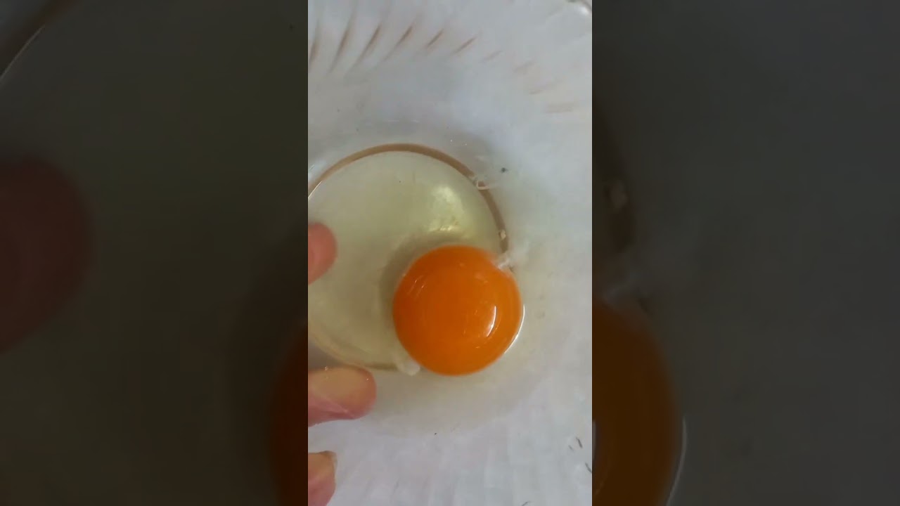 Difference between eggs #viral #shorts #eggs