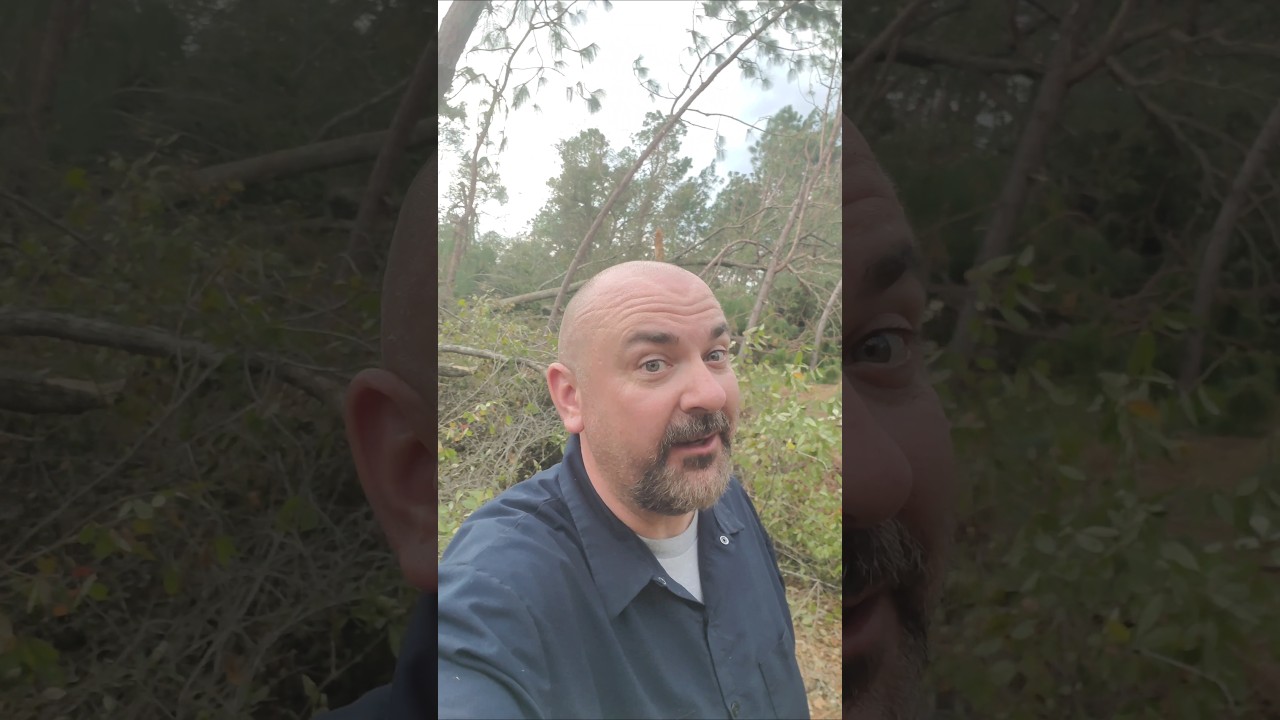Hurricane Helene hit us hard. #shorts  #hurricane #hurricanehelene #stormdamage #destruction