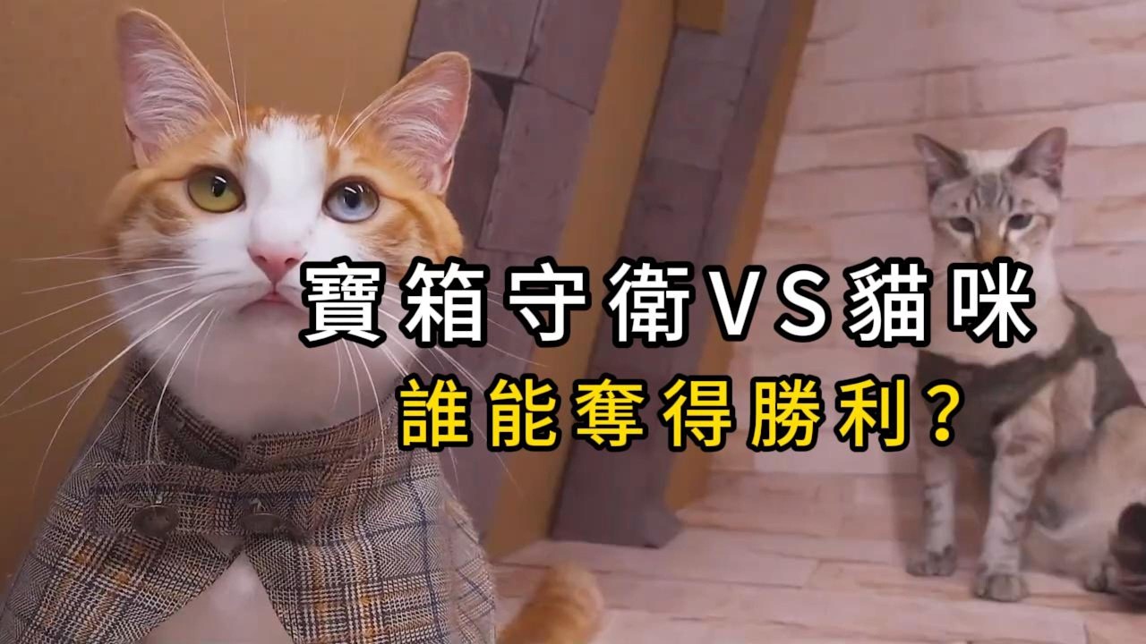 【紙箱貓劇】奪寶奇喵第 9 集｜貓咪小超市開張，可是… #貓咪 #萌寵出道計劃 #手工 #劇情 #記錄貓咪日常