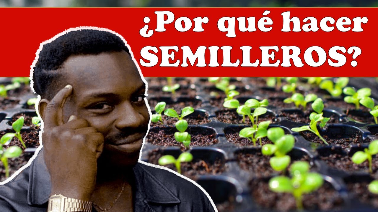 🌱¿Qué es un SEMILLERO? VENTAJAS que ofrece y ERRORES comunes al hacerlos