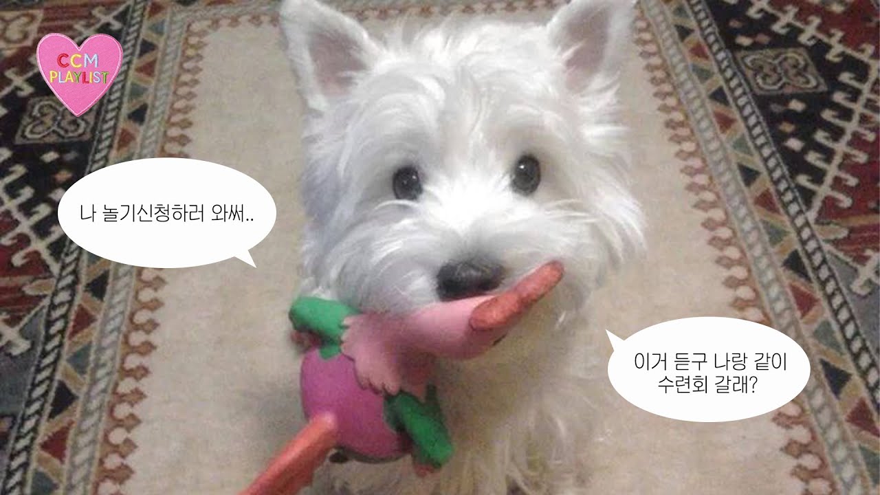 [𝐂𝐂𝐌 𝐏𝐥𝐚𝐲𝐥𝐢𝐬𝐭] 빛 되신 주님 안에서✨ 나랑 같이 놀 사람..?😇 | 2026 익투스 겨울성경학교 playlist🎵