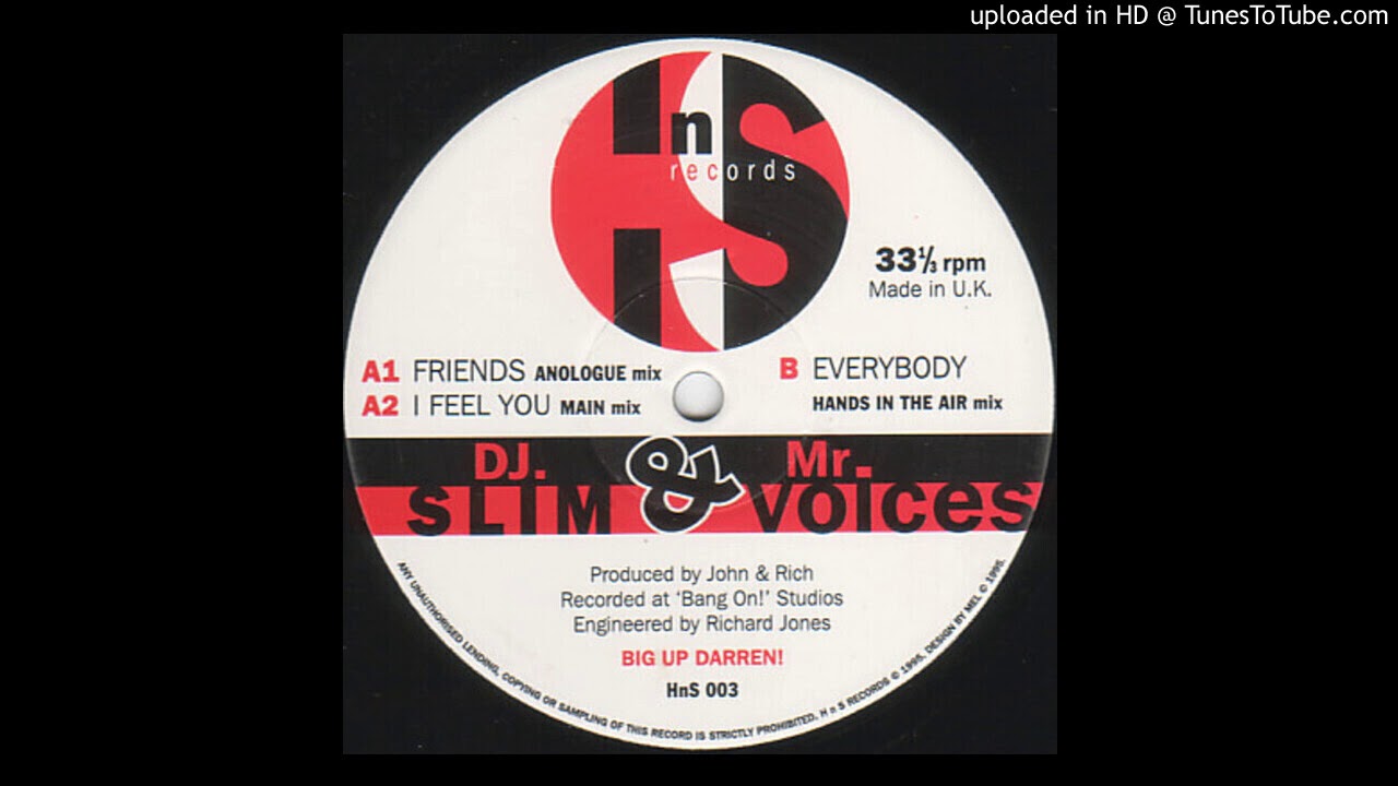 DJ Slim & Mr Voices - Everybody (Hands In The Air Mix)