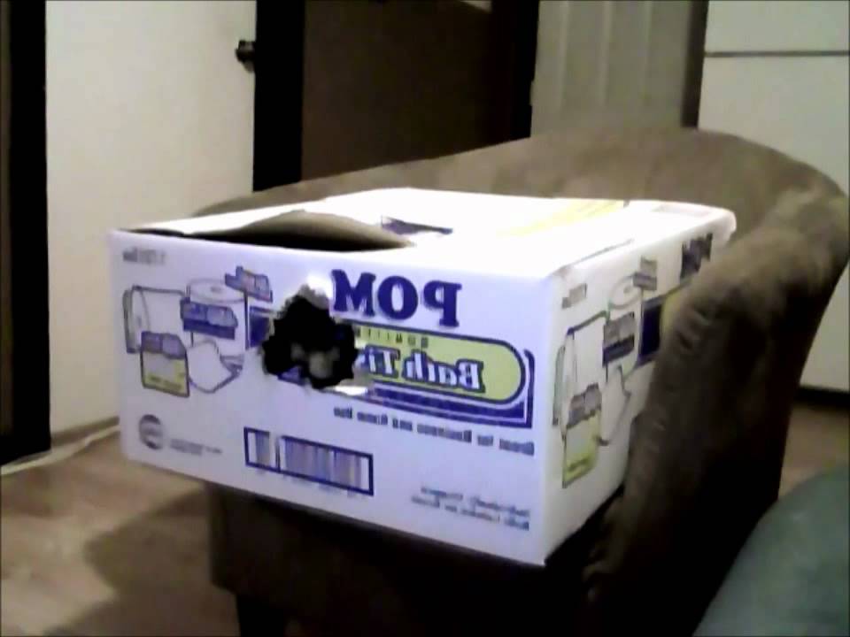 Mystery Box!