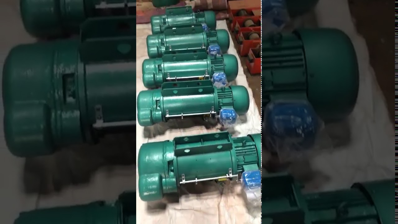 Electric hoist for sale|China Crane Supplier