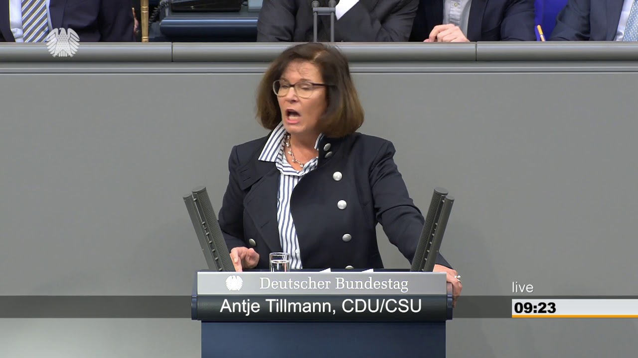 Antje Tillmann: Illegale Beschäftigung u. Sozialleistungsmissbrauch [Bundestag 04.04.2019]