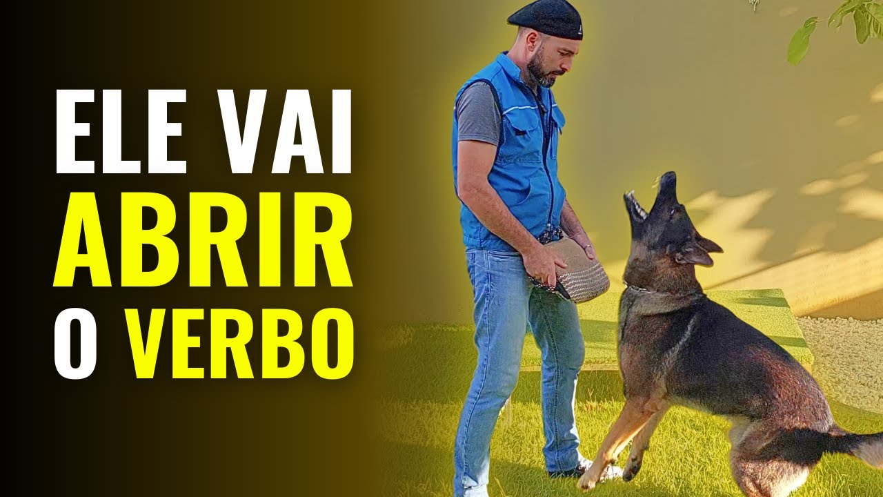 A MELHOR TÉCNICA para ensinar seu cachorro a LATIR SOB COMANDO!