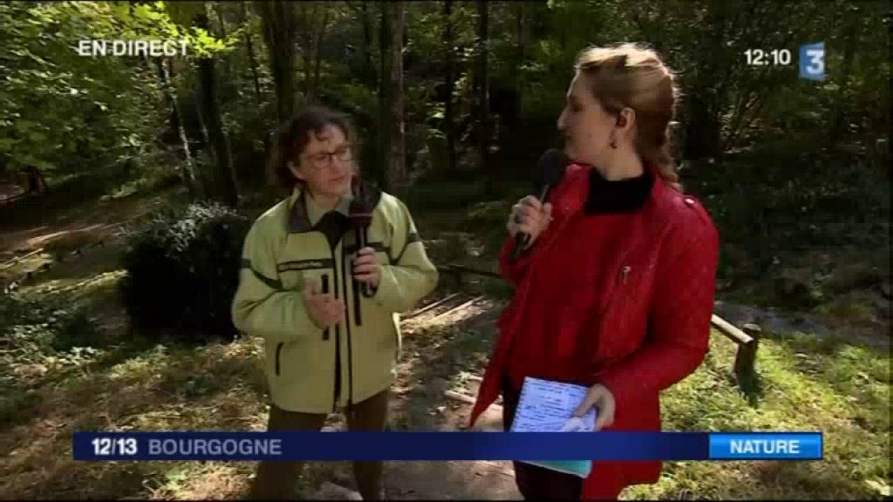La forêt du Val Suzon labellisée Forêt d’Exception®