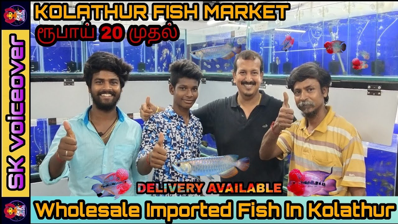 ரூபாய் 20 முதல் Imported fish | Wholesale Price | Delivery available | aqua Farm Visit | explore