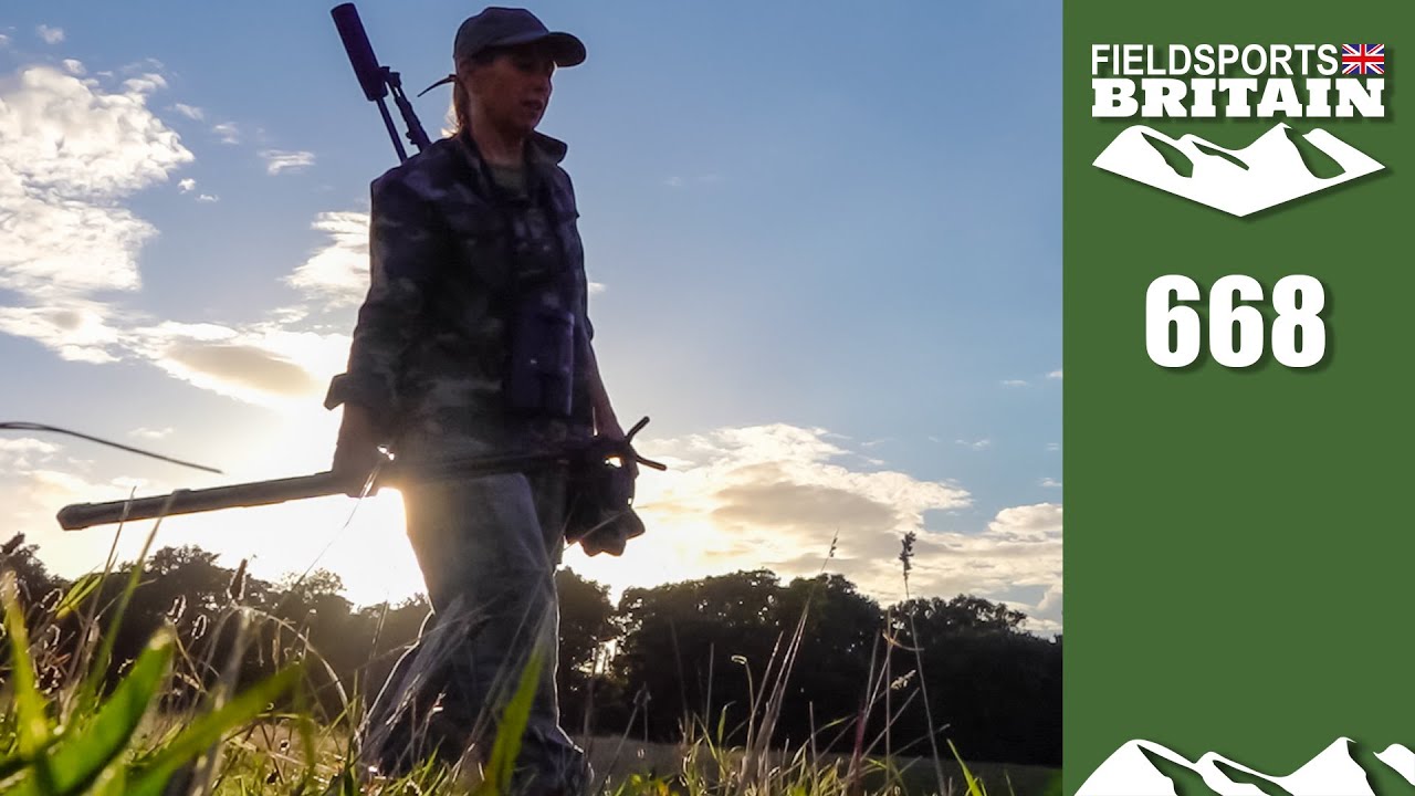 Fieldsports Britain – muntjac surprise